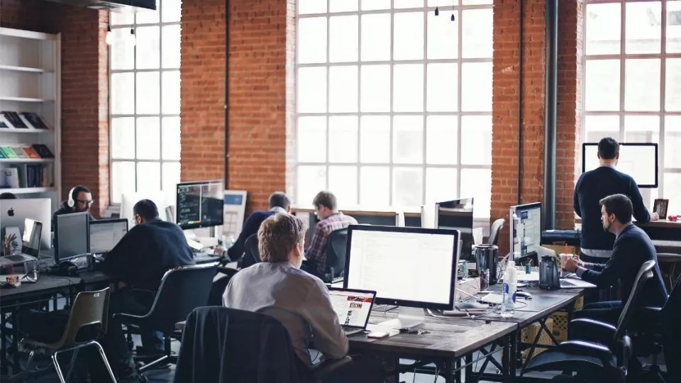 Как выбрать веб-студию в Боре по кейсам