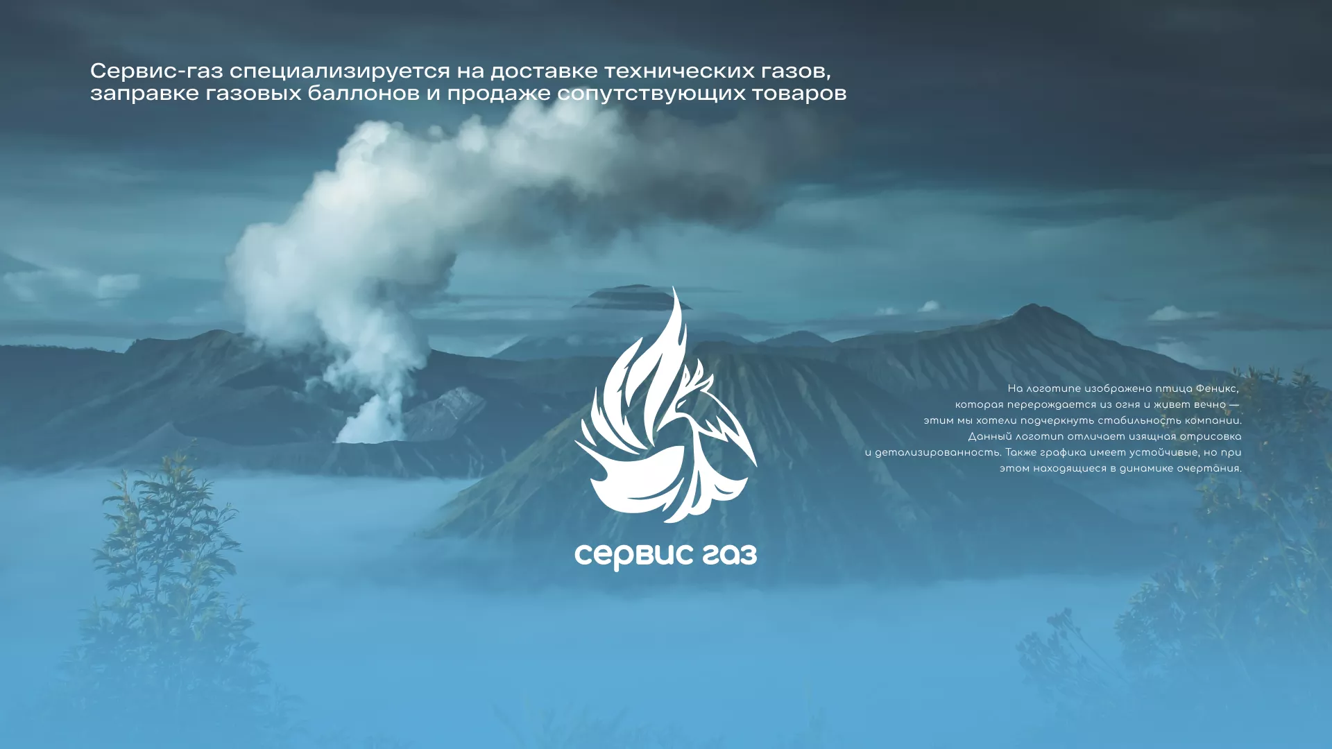 Создание сайта компании «Сервис газ» в Боре