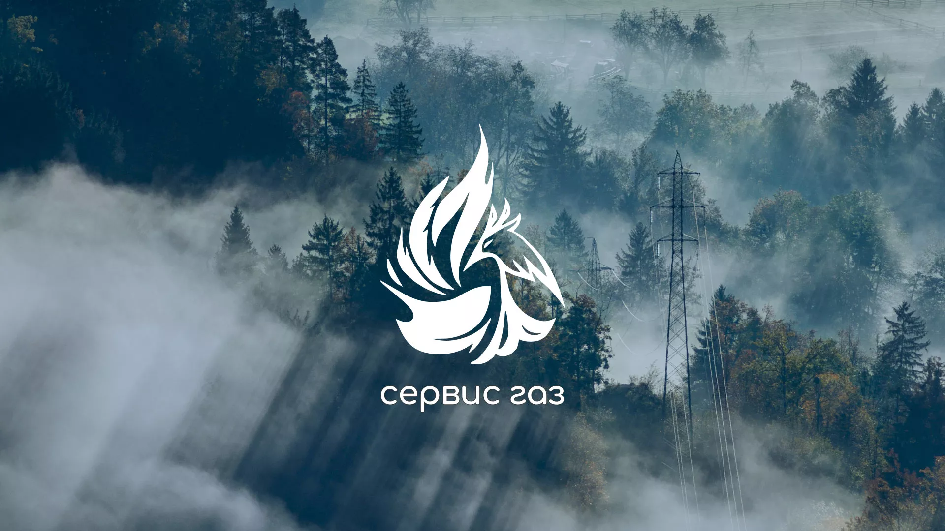 Создание сайта компании «Сервис газ» в Боре