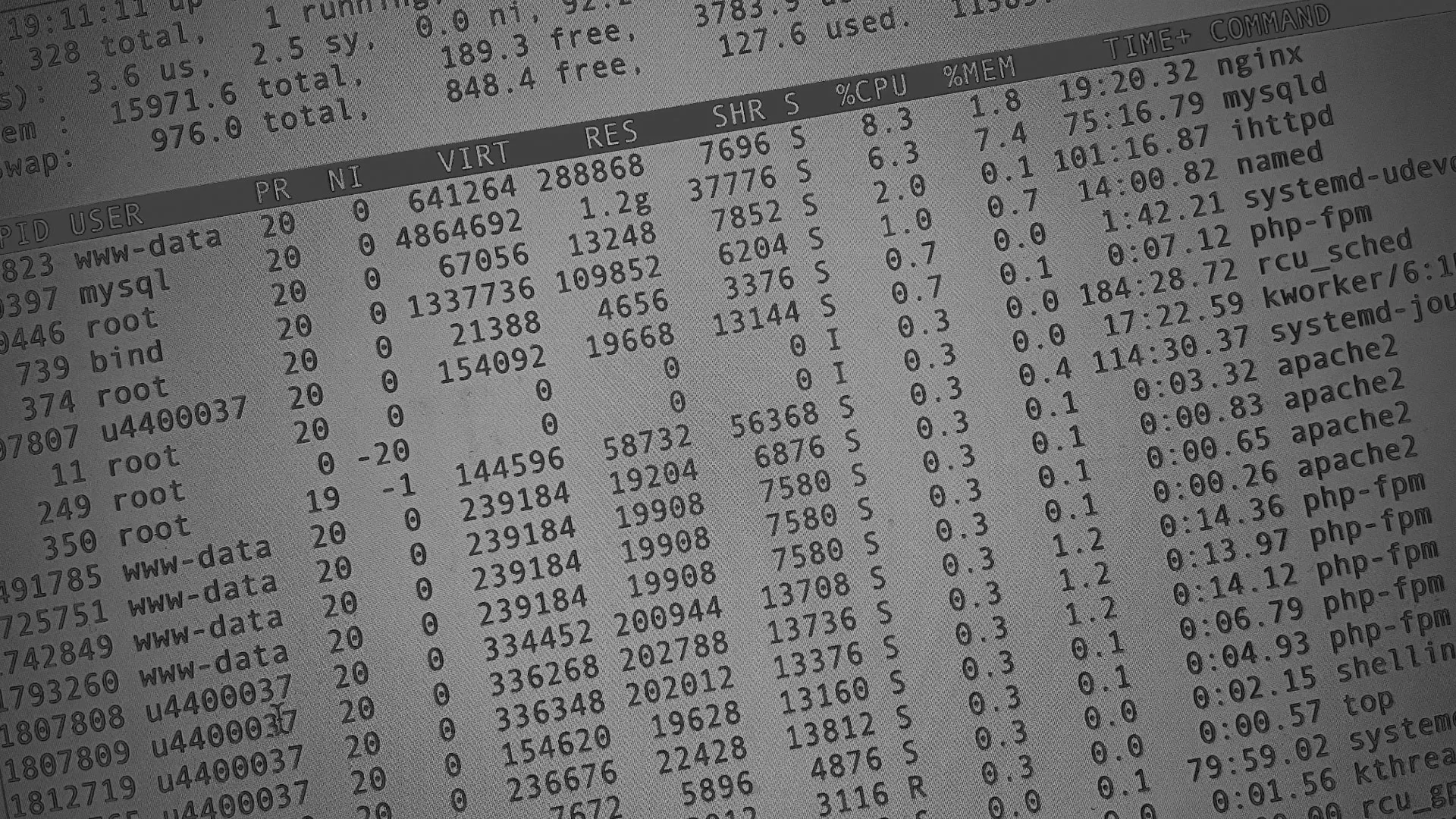 Настройка сервера в Боре