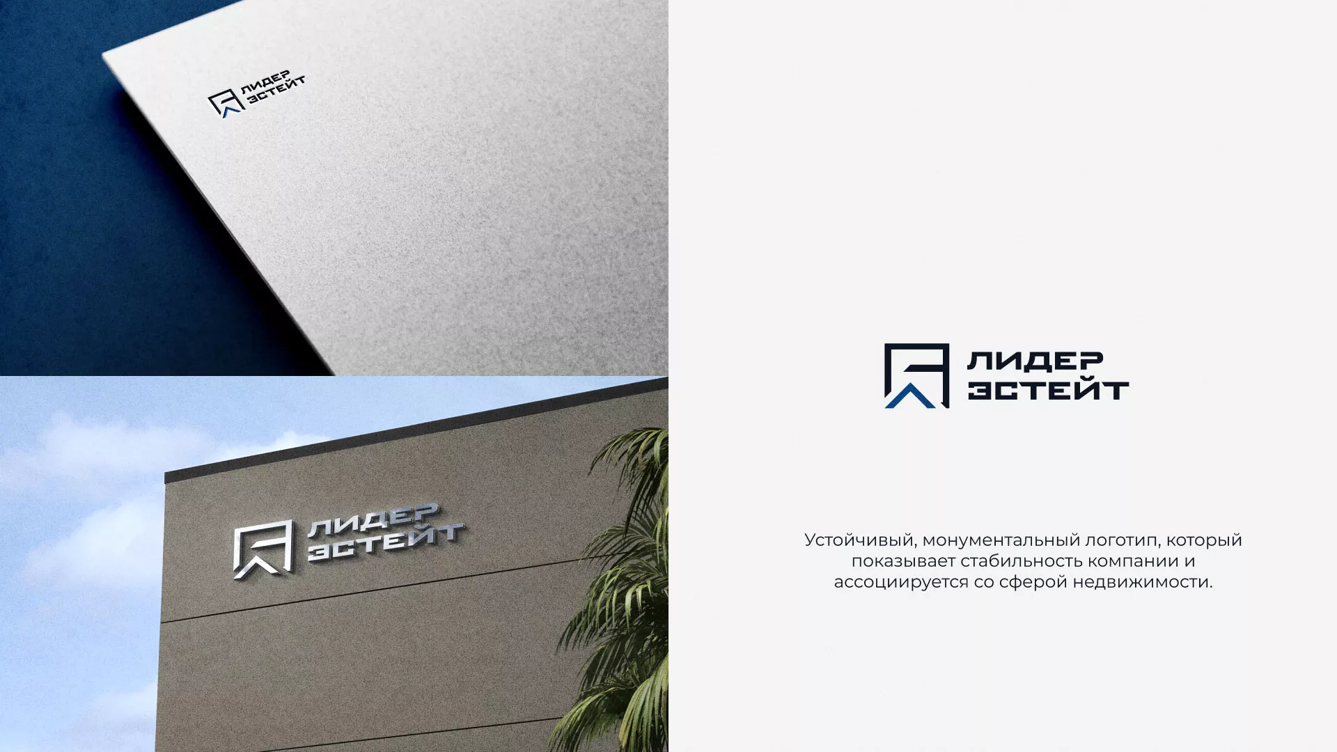 Разработка логотипа агентства недвижимости «Лидер Эстейт» в Боре