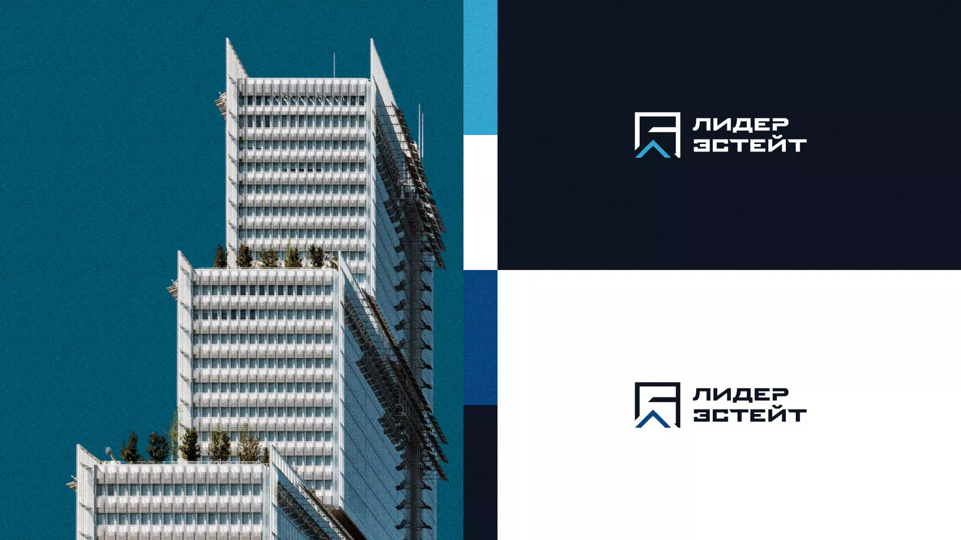 Разработка логотипа агентства недвижимости «Лидер Эстейт» в Боре